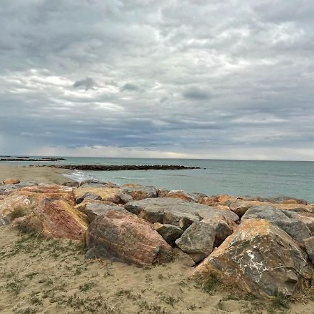 Port Barcares Vue Port Et Mer Le Barcarès エクステリア 写真