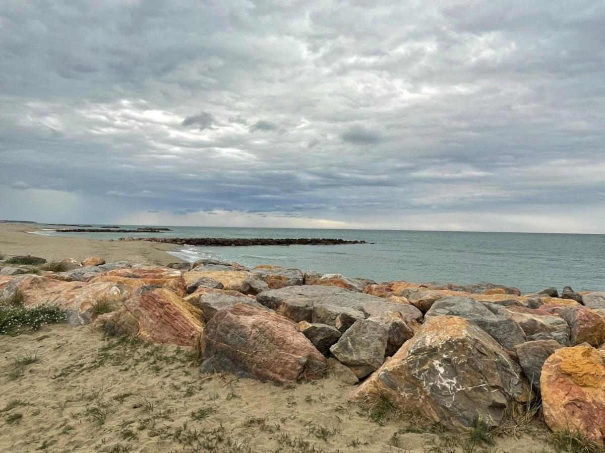 Port Barcares Vue Port Et Mer Le Barcarès エクステリア 写真